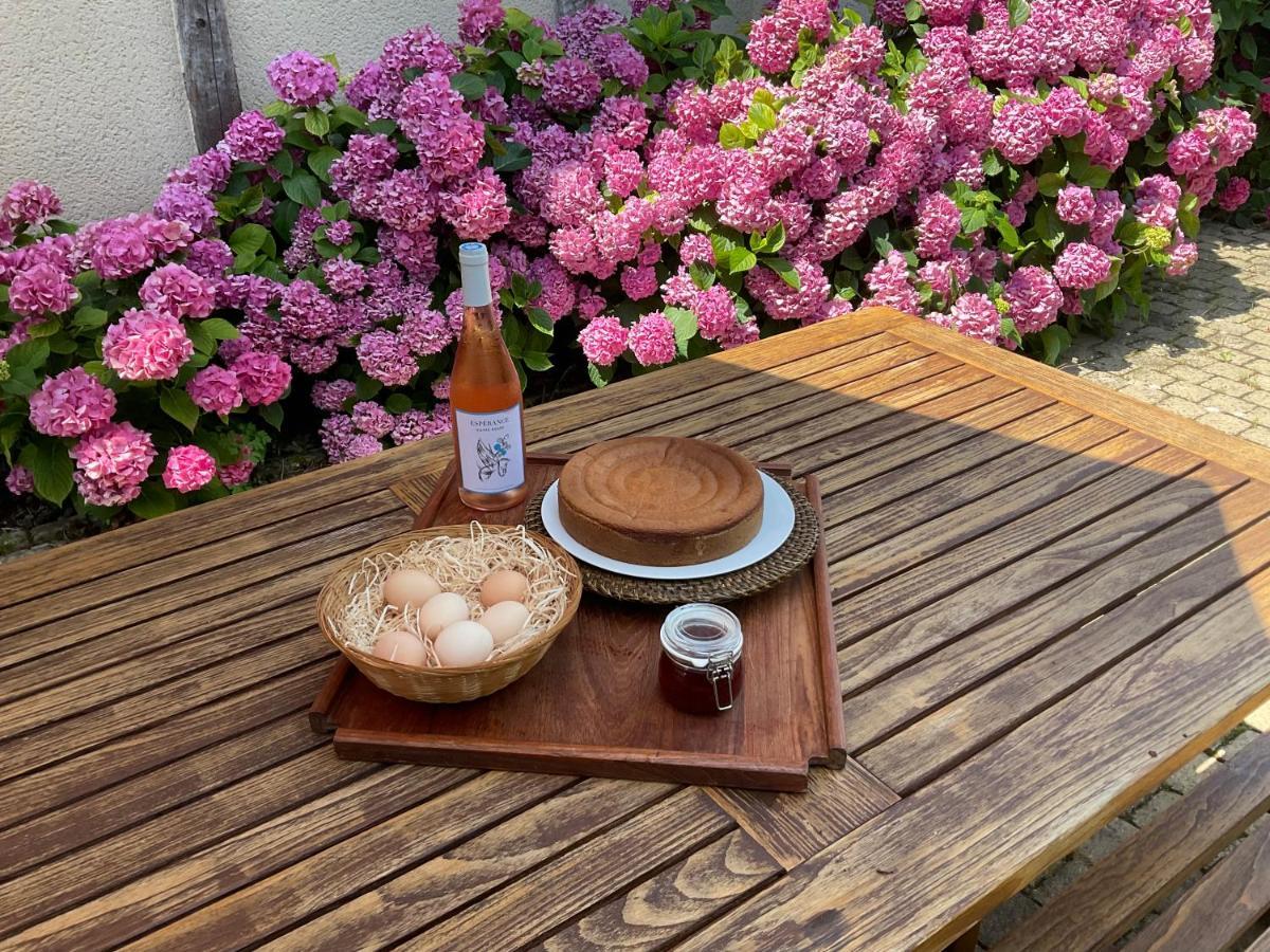 Le Clos Du Benestar Mauvezin-d'Armagnac Esterno foto